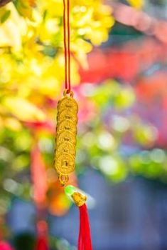 phỏm trực tuyến Debet
